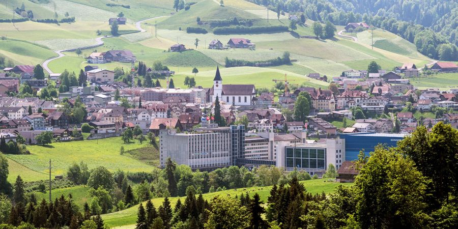 Blick vom Schmittli in Doppelschwand auf das Dorf Entlebuch mit Kirche, Businesspark Entlebuch und das Schweizer Verteilzentrum.