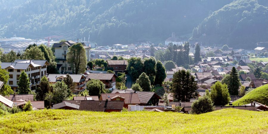 Blick auf Wilderswil.