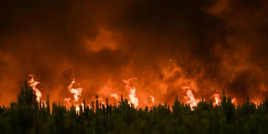 2021 war eines der schlimmsten Waldbrand-Jahre