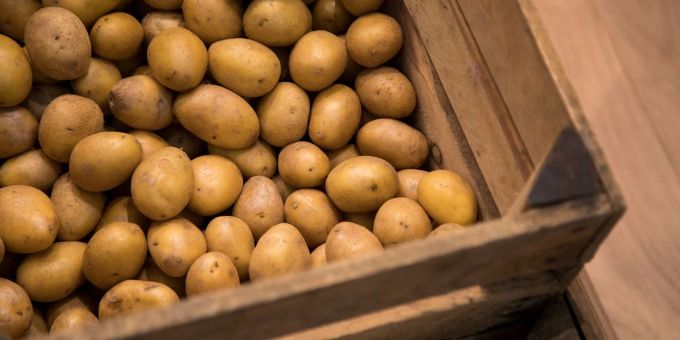 Im Juli - Produzentenpreis-Inflation kommt etwas zurück