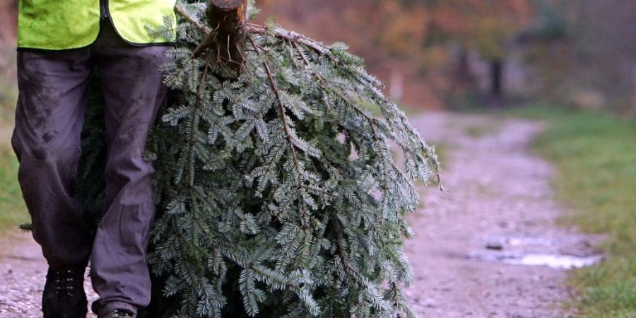 BFH: Weihnachtsbäume sind nicht Bestandteil von Grundstück
