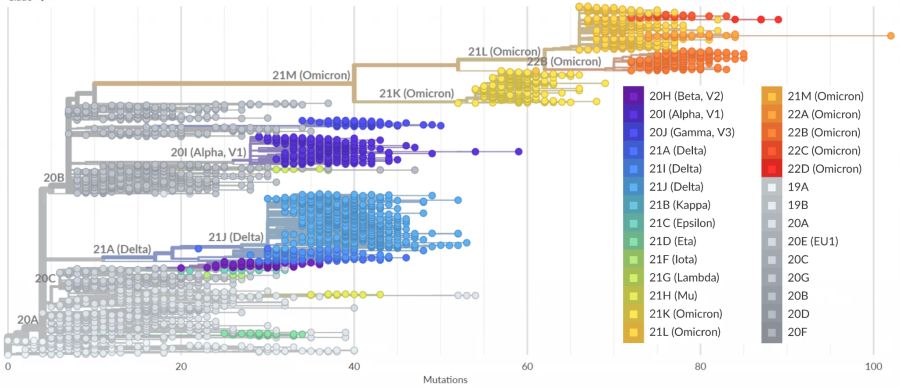 Coronavirus Stammbaum Omikron