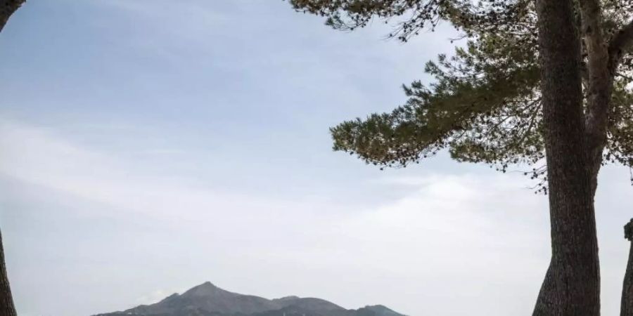 Tragischer Unfall auf der Ferieninsel Mallorca: Ein Junge aus Deutschland zog sich beim Sturz aus einem Hotel schwere Verletzungen zu. (Symbolbild). Foto: John-Patrick Morarescu/ZUMA Wire/dpa
