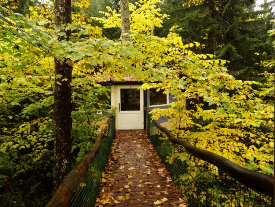 Baumhaus im Neuenburger Jura