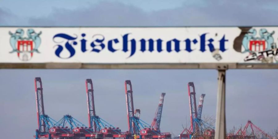 Der Fischmarkt am Hamburger Hafen. Foto: Christian Charisius/dpa