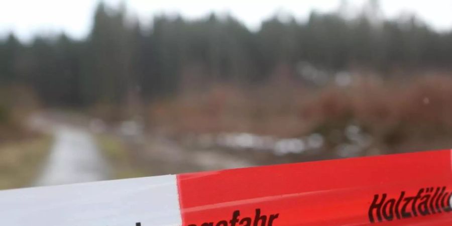 Das Symbolbild zeigt Flatterband vor einem Holzlager. Foto: Matthias Bein/dpa-Zentralbild/dpa