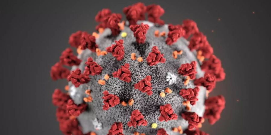 Coronavirus