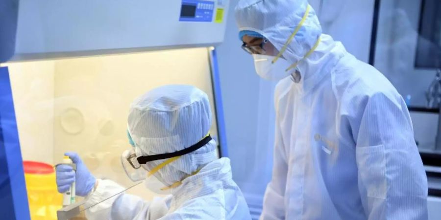 Forscher verpacken Nachweisreagenzien für das neue Coronavirus. Foto: Ma Ping/XinHua/dpa