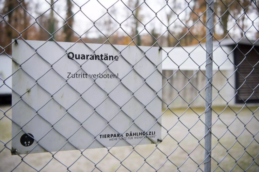 quarantäne