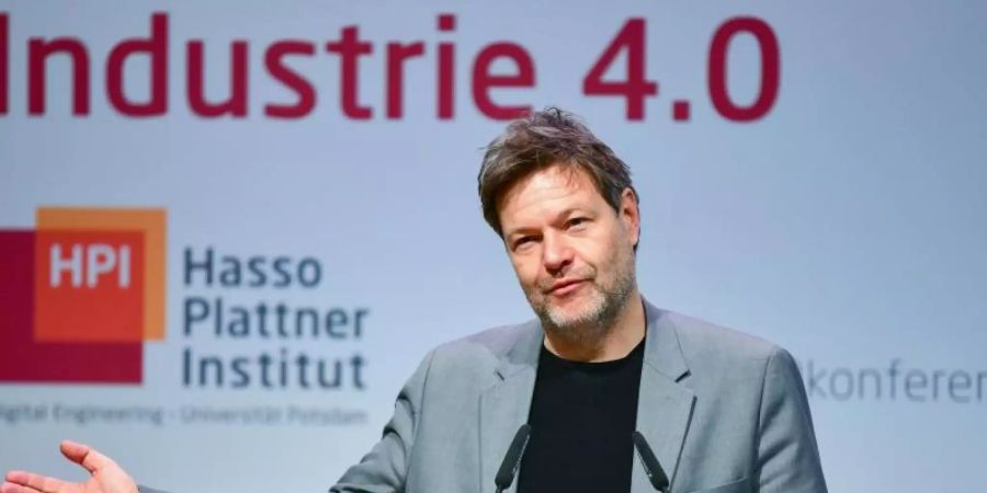 Robert Habeck, Bundesvorsitzender von Bündnis 90/Die Grünen. Foto: Soeren Stache/dpa-Zentralbild/dpa