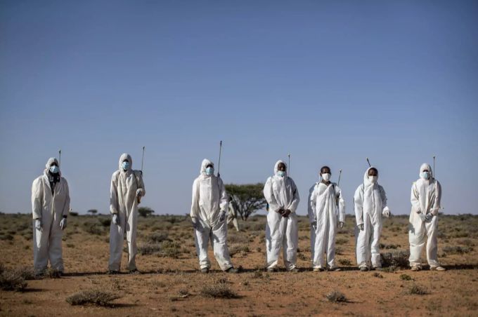 In Somalia probiert man mit allen möglichen Mittel gegen die Plagegeister vorzugehen. somalia