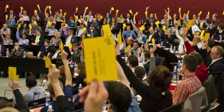 grünliberale luzern