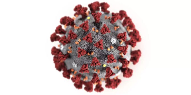 Coronavirus