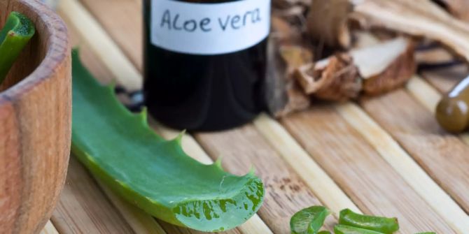 Aloe Vera