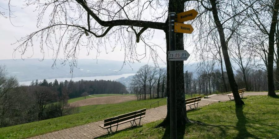 Landschaft beim Hombergturm in Reinach.