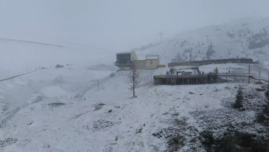 Arosa