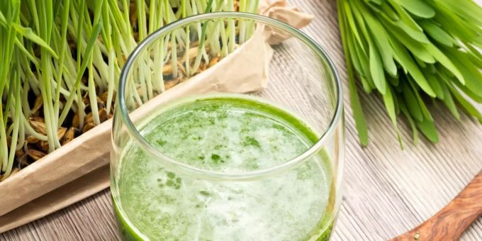 Zwei gehäufte Teelöffel des grünen Pulvers und Wasser ergeben einen Gerstengras-Drink. Zwei gehäufte Teelöffel des grünen Pulvers und Wasser ergeben einen Gerstengras-Drink.