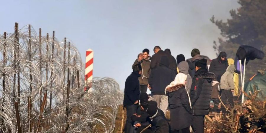 Migranten vor einem Grenzzaun aus Stacheldraht an der belarussisch-polnischen Grenze bei Grodno Grodno. Foto: Leonid Shcheglov/BelTA/AP/dpa