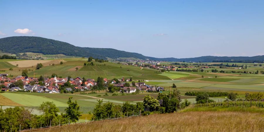 Aussicht über Oberhallau und Gächlingen.