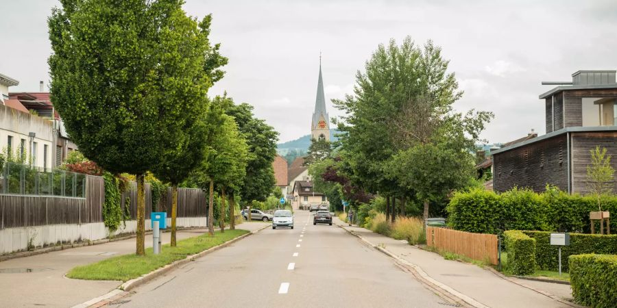 Die Ortseinfahrt Usterstrasse in Pfäffikon (ZH).