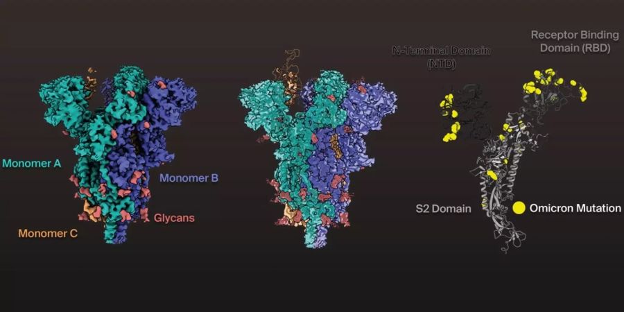 Omikron-Variante Schweiz Coronavirus