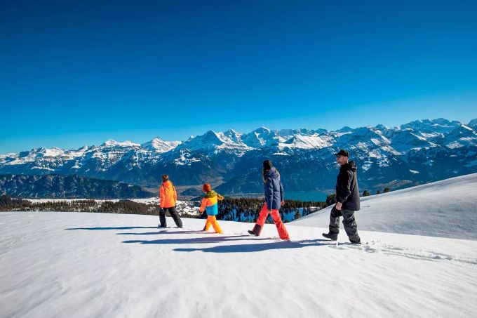 Das Niederhorn erreicht ihr bequem mit der Niederhornbahn. Sie bringt euch in knapp 20 Minuten auf den für sein Panorama berühmten Berg am Thunersee. sdf
