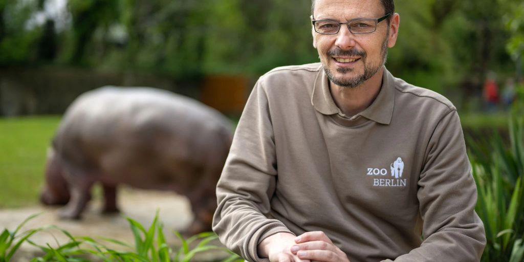 Low Carb für Zootiere: Reistorte für den Gorilla ist passé