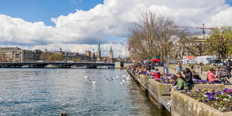 Das untere Becken am Zürichsee. - Stadt Zürich