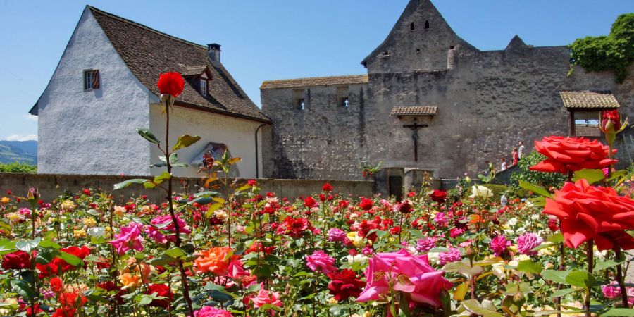 Rosengärten in Rapperswil.