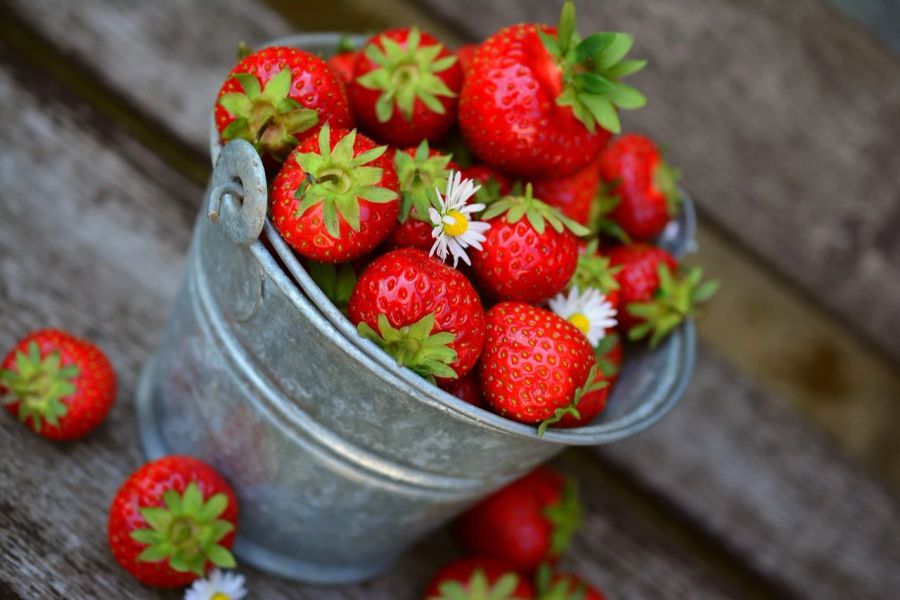 Erdbeeren Saison