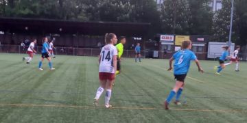 Fc breitenrain
