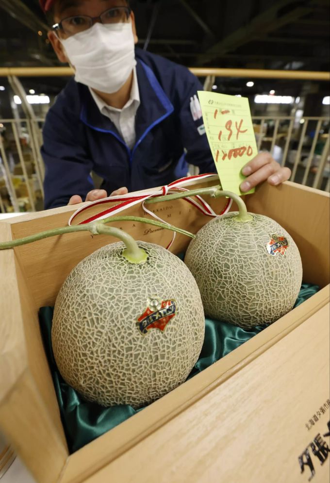 Die zwei Yubari-Melonen. Yubari-Melonen