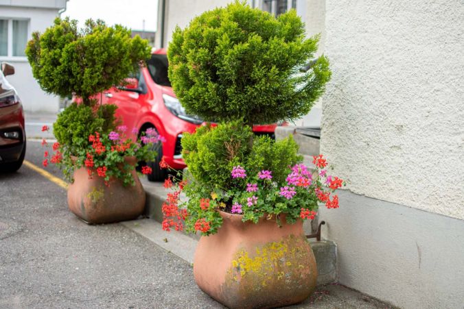 Schöne Blumendekoration in Zetzwil.