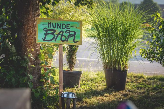 Auch Hunde sind in der Bar willkommen. Überseh-Bar Villmergen