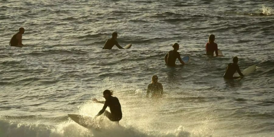 Surfer im Wasser an Bondi Beach