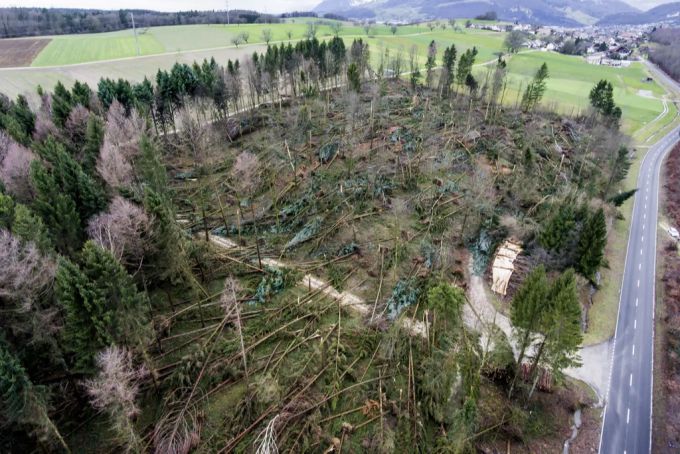 Burglind zerstörte 2018 einen Teil des Kestenholzer Waldes. Kestenholz Wald Burglind