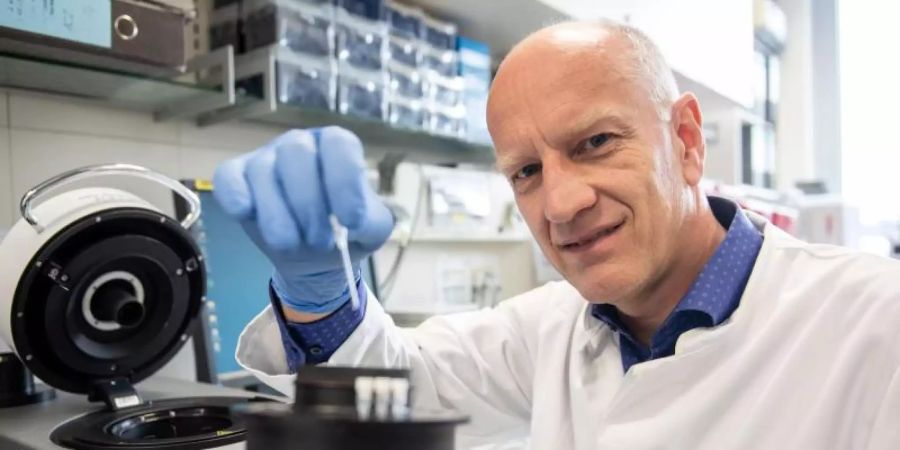 Laut Ulf Dittmer, Leiter des Instituts für Virologie der Universitätsklinik, könnte sich die Anzahl der Abwehrzellen bei Covid-19-Patienten auf den Verlauf der Erkrankung auswirken. Foto: Bernd Thissen/dpa