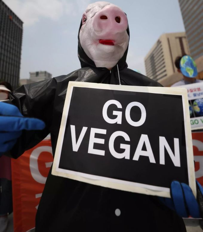 Ein maskierter Demonstrant hält ein Schild mit der Aufschrift «Go vegan» in der Hand. (Symbolbild) Veganer