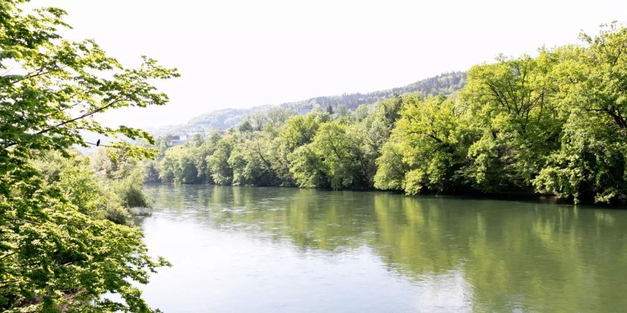 Die Limmat bei Turgi.