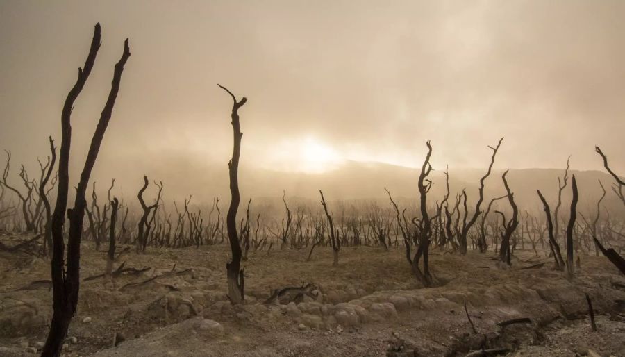 Klimawandel Dürre Spenden sammeln