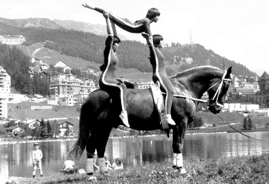 Drei Buben auf einem Pferd