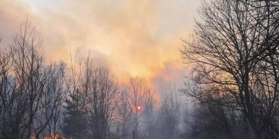 Tschernobyl Waldbrand