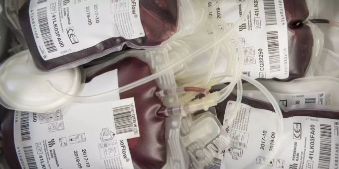 Diese Beutel mit Spenden werden kühl gelagert und an Patienten weiterverteilt. Blut spenden