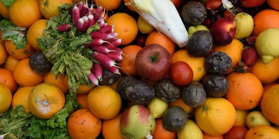 Verschiedene Sorten Obst und Gemüse