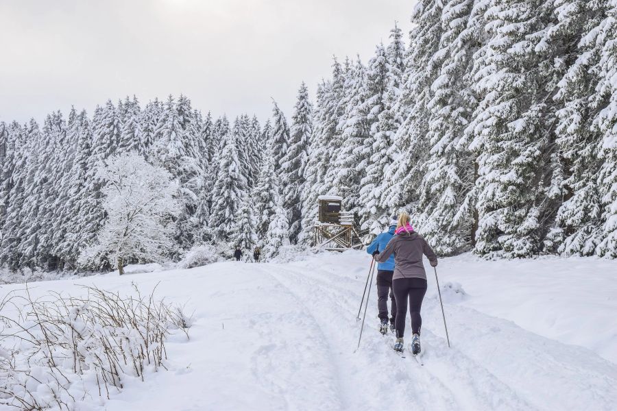 Lanläuferinnen Schnee Wald