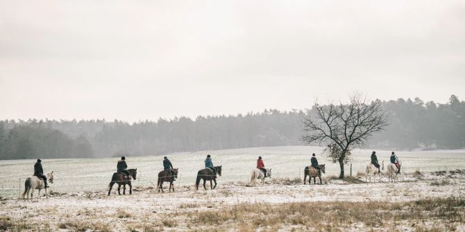 Reiten Pferd Reihe Feld Frost Winter