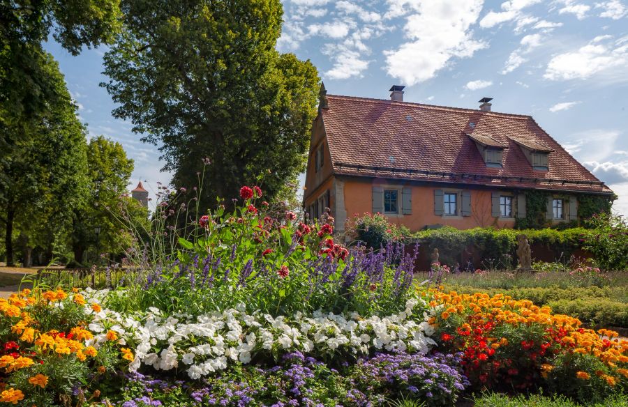 Garten Blumen bunt Haus