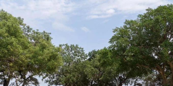 Johannesburg - «Kidnapping-Krise» in Südafrika - Überfälle nehmen zu