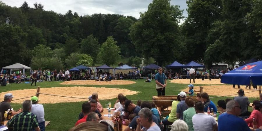 SK Laupen: Der Schwingertag Laupen lockt jedes Jahr viele Besucher an. - Laupen