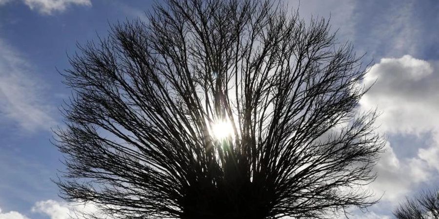 Nach Hoch «Jannis» am Mittwoch kommt schon das nächste Tief mit Wolken und Regenschauern. Foto: Bernd Wüstneck/dpa-Zentralbild/dpa